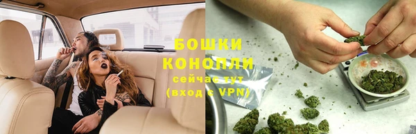 PSILOCYBIN Елабуга