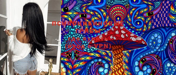 PSILOCYBIN Елабуга