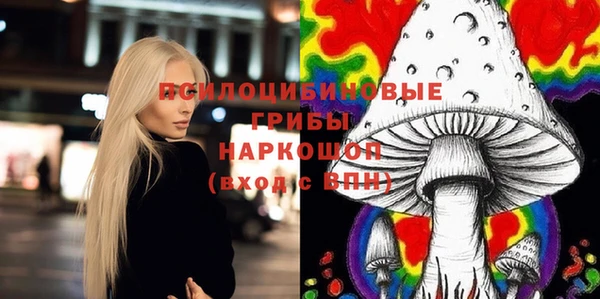 PSILOCYBIN Елабуга