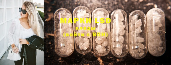 PSILOCYBIN Елабуга