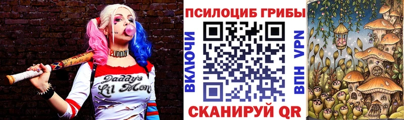 Купить  Ильский  Галлюциногенные грибы мицелий 